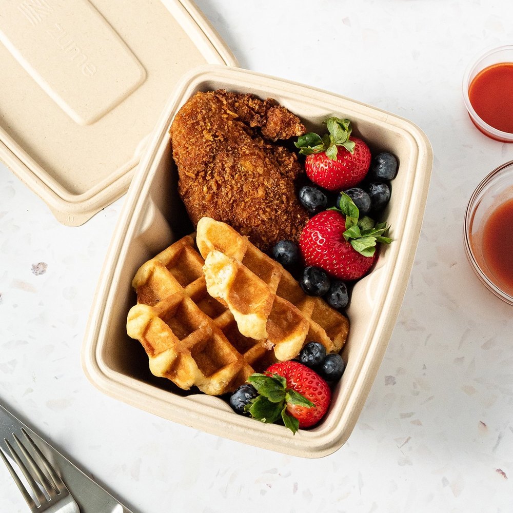 Innovative Bagasse Packaging – The Eco-Friendly Way Forward